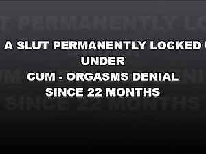 Asian Squirt and Cock Suck